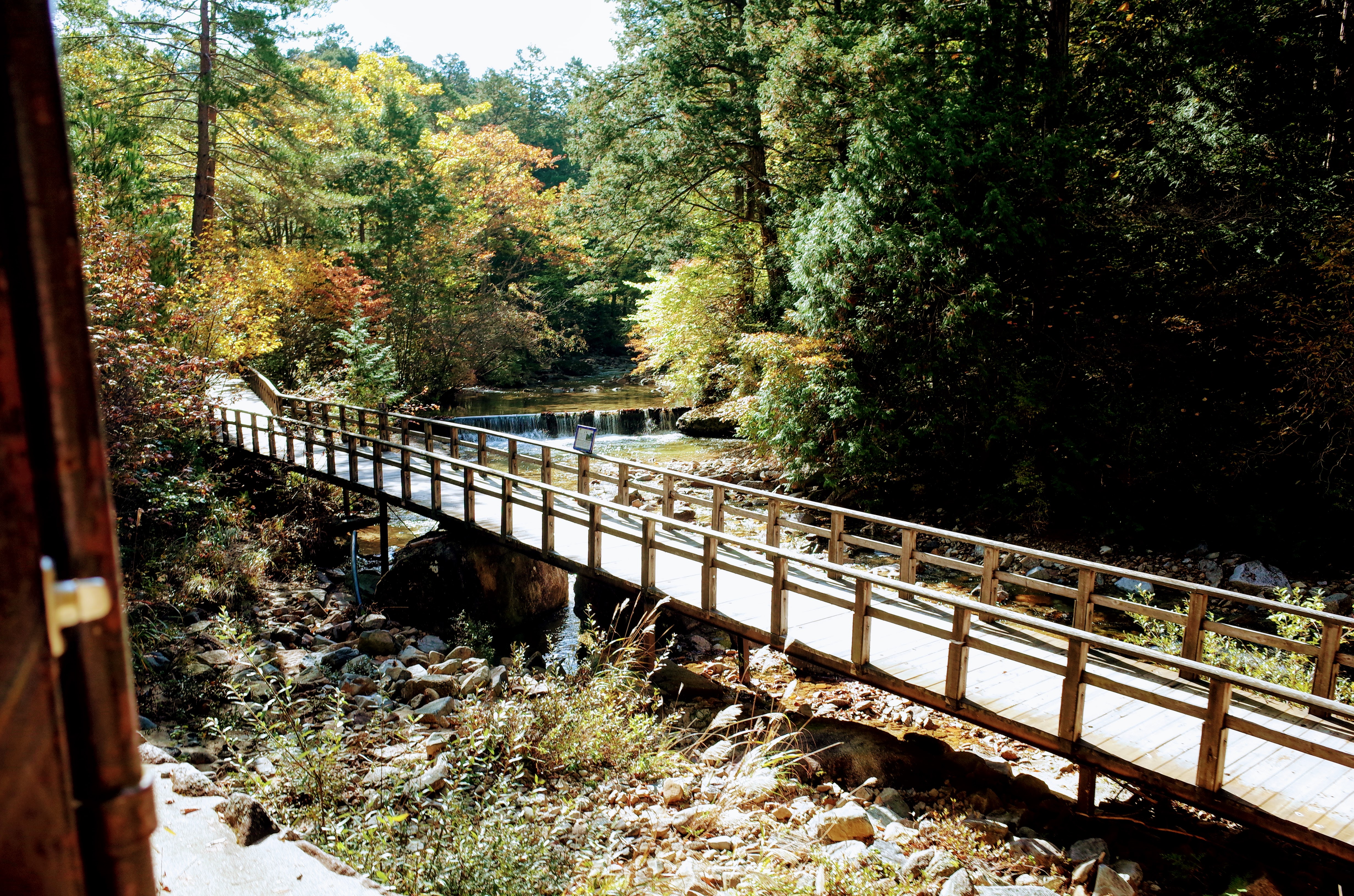 Akasawa Forest